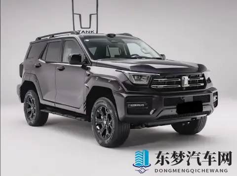 再等2天，新一代坦克400将上市发售，四种动力可选-2