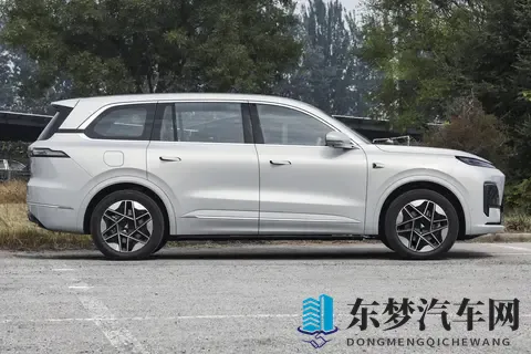 深蓝S09与魏牌蓝山对比,30万预算,六口之家该怎么选?-1