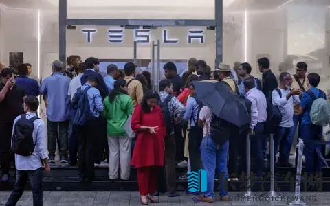 特斯拉月销量中国68万辆vs印度40辆！马斯克看傻了-3