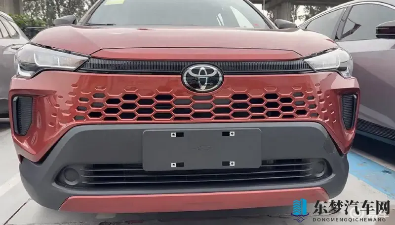 大菠萝福建官方隐藏入口ios：《探寻大菠萝福建官方神秘通道，iOS玩家必看》-1