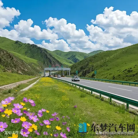 高速公路的治理挑战-2