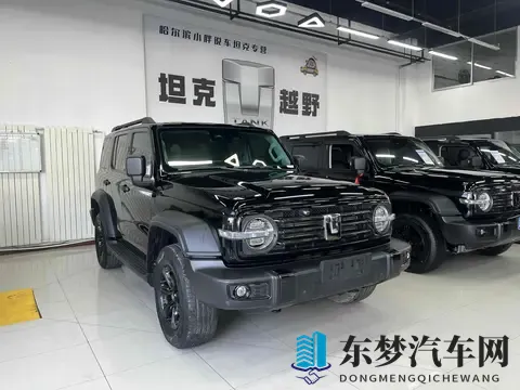 准新坦克300：2万公里，圆你越野梦！-1