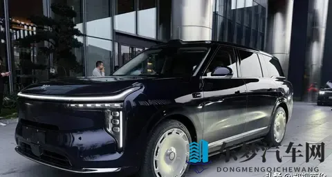 智己LS9街头偶遇记