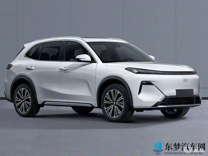 揉我胸 啊 嗯～出水了H：新能源汽车，智能驾驶，未来出行新篇章-2