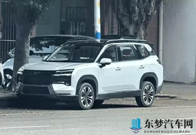 皇子成年礼共大臣使用:古老仪式元素,现代汽车设计新突破-1