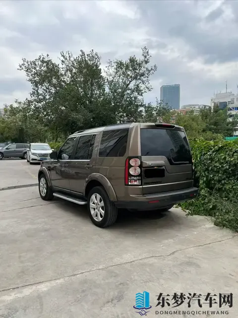 美女憋尿网站秘：选车避坑指南,这些要点必须掌握