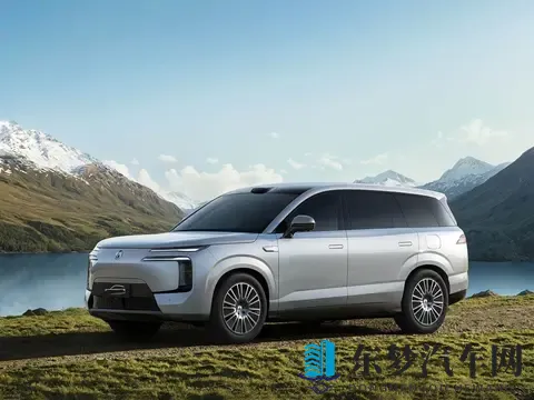 销量第一被“绝杀”!终于疲态显现,比亚迪快装不下去了?-3