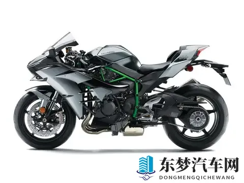 2025年仿赛摩托车年度榜单：杜卡迪V4 R狂揽221马力称霸！-1