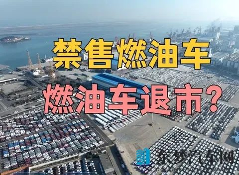 公牛与女人一级毛：激情公牛邂逅神秘女性，极致体验一触即发