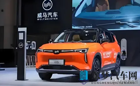 威马汽车“念念不忘，必有回响”，破产重整后谋划全面复活-2