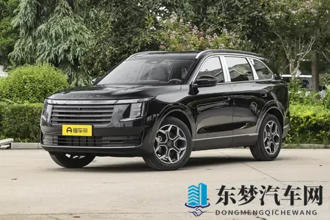 10万级大七座SUV，999万起售，安全舒适不将就！-1