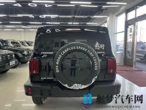 准新坦克300：2万公里，圆你越野梦！