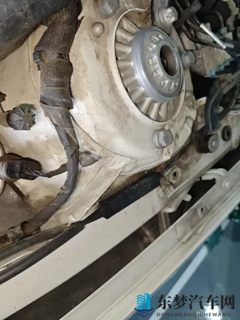 《动物森友会 埃及猫》:《动物森友会》中的神秘埃及猫角色-1