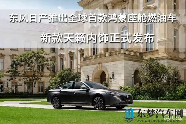 紧急大通知狼友最新地域网名：爱车安全新策略,智能守护防隐患-1