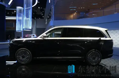 也要在大块头SUV里分一杯羹，奇瑞风云T11增程大六座，价格能打？-1