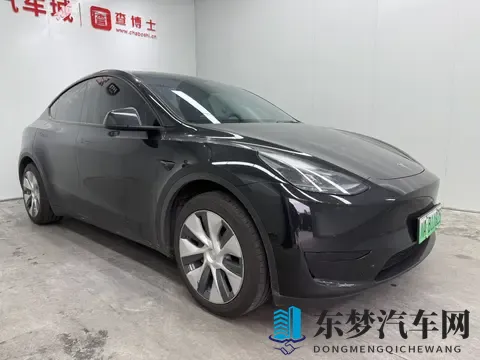 不知火舞和三个男孩：女格斗家携三少年,共闯江湖