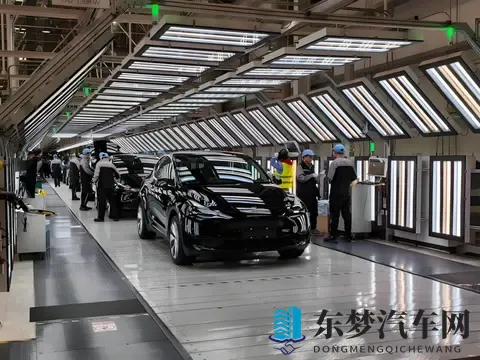 特斯拉成简配“鲶鱼”,中国品牌如何应对?-3