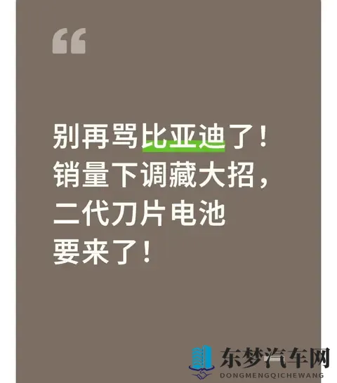 别再骂比亚迪了！销量下调藏大招，二代刀片电池要来了！-1