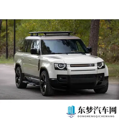 新款路虎卫士皮卡版亮相 造型个性 无惧15年报废期
