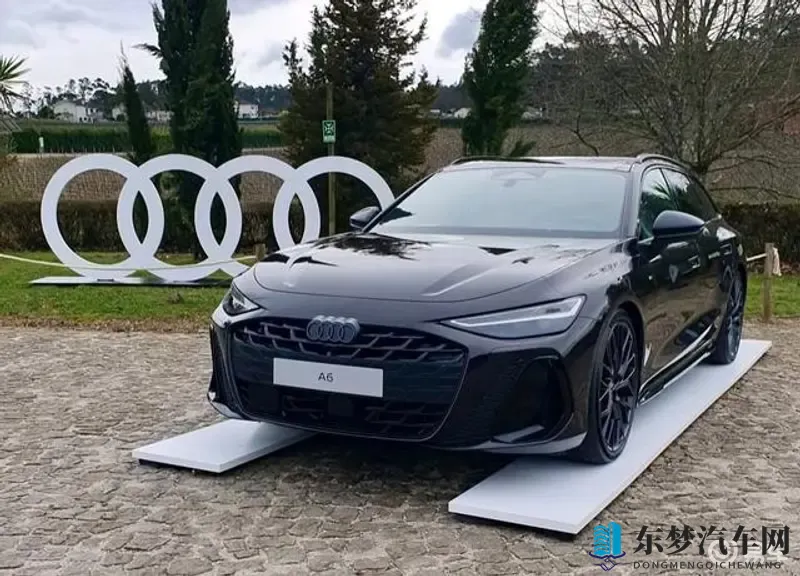 莉娜保罗：探寻神秘组合，莉娜与保罗的传奇故事-1