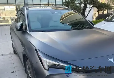 极狐阿尔法T5如何让我放弃特斯拉Model 3-1