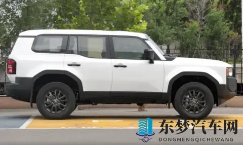 越野世家的新对话：福特烈马荒地版对比丰田普拉多-2