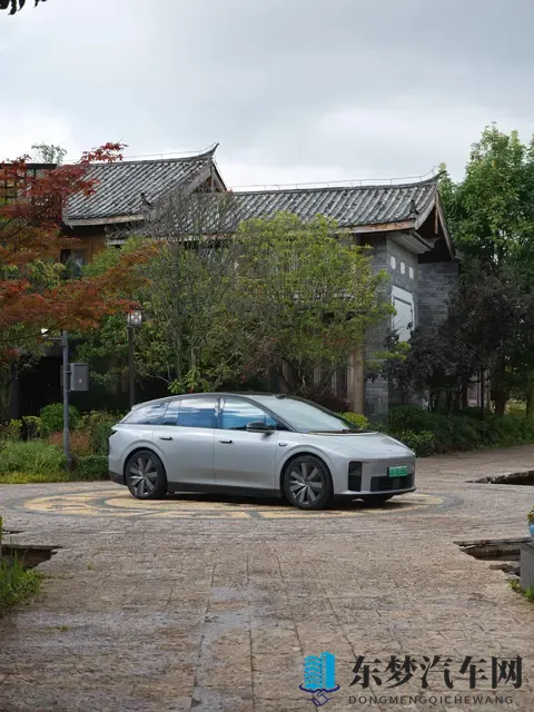 别在技术爆炸期,当汽车的“小白鼠”-1