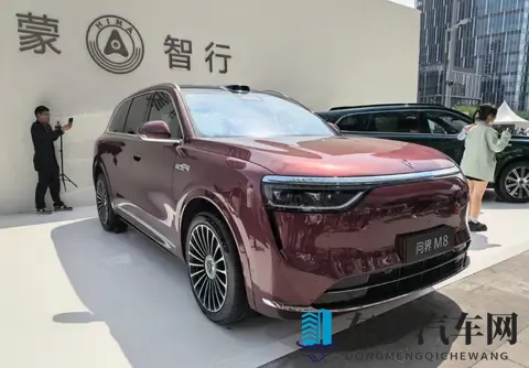 国产车企，纷纷走理想的路，让理想自己不好走了-2