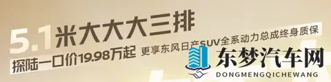 换壳QX60，日产探陆还有些性价比-2