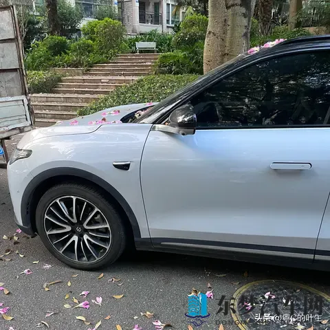 黄色app下载软件：智能软件新宠，车主生活更便捷-2