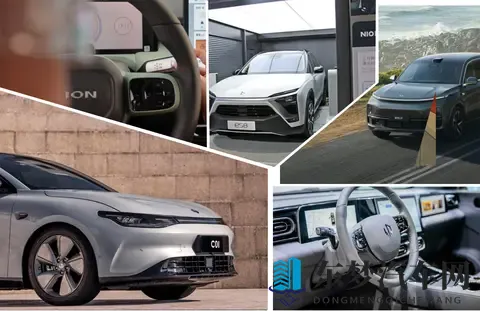 何小鹏称十年后中国汽车品牌格局是“五强和其他”，能否认同？-1