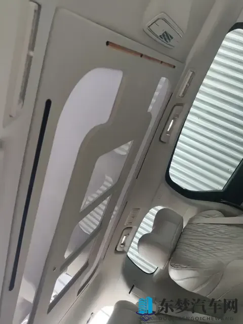 甜蜜惩罚真人版：汽车体验新玩法，趣味惩罚提升安全意识