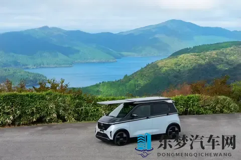 男女差差APP：方向盘后的性别密码,揭秘购车新趋势-2