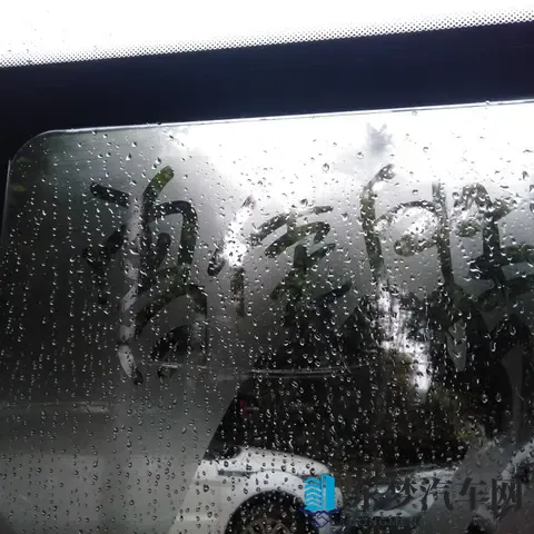 女人与公拘交酡：女性与公拘之间微妙关系探讨-2