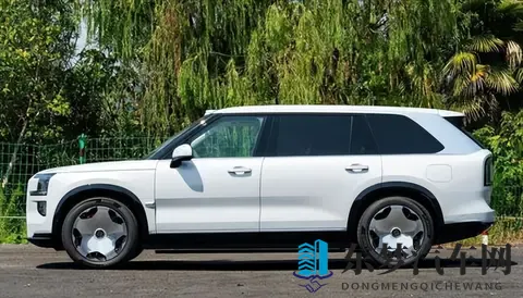 自主品牌扎堆推大型 SUV：不只是跟风，背后藏着这些门道-3