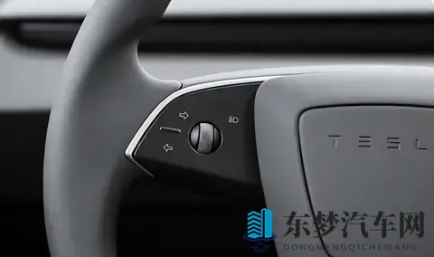特斯拉加装转向拨杆，这是认错了？隐藏式门把手何时改正-3