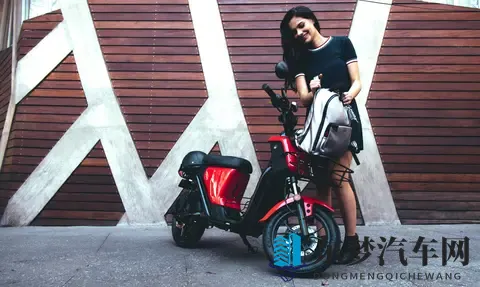 编译：2025 欧洲电动车市场、中国制造继续处于主导地位-2