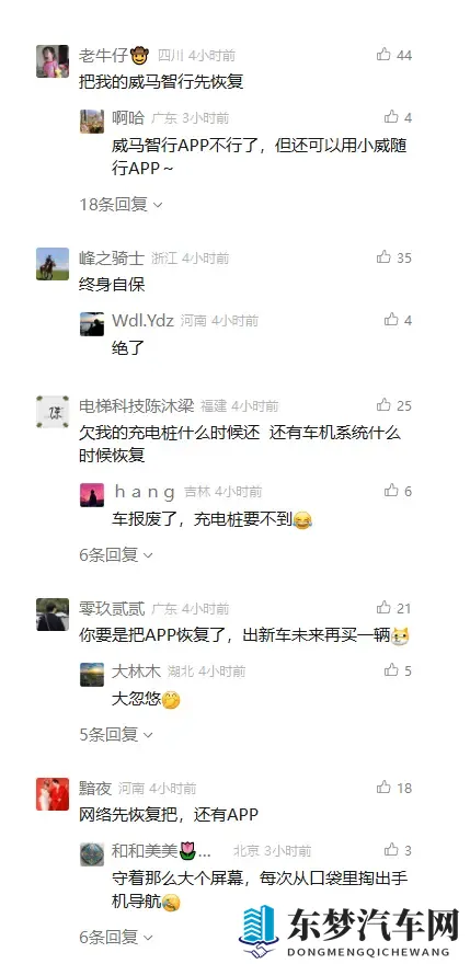 威马复活,一场“闹剧”or“爽剧”?-3