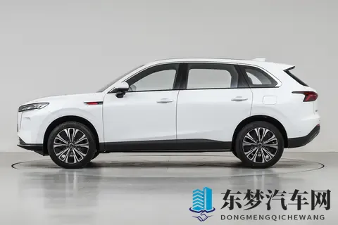 配15T插混系统 红旗HS6 PHEV开启盲订 冰箱_沙发全都有-3