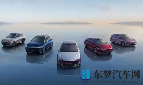 车评  零跑夺冠、理想失速，我们该为销量买单吗？-1