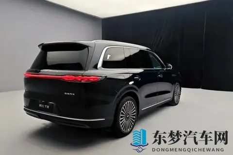 20万级大六座混动SUV 风云T11和银河M9怎么选？-1