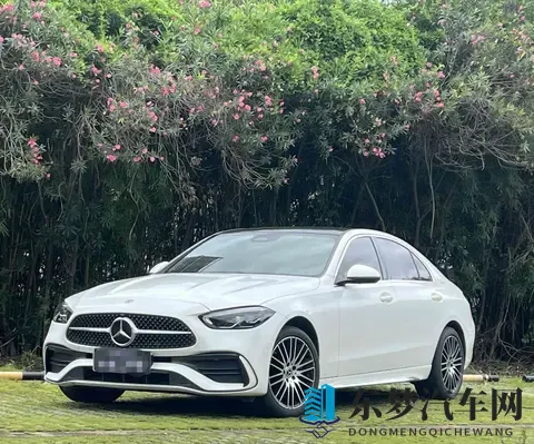 一手22款奔驰C级，4万公里，1998万体验优雅豪华-3