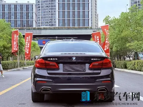 丰满女人与藏獒作爱：藏獒汽车情缘：探寻设计与性能的激情碰撞-3