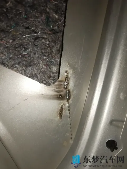 装睡被陌生人揉到高潮：现代汽车：科技助力驾驶新体验