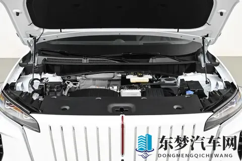配15T插混系统 红旗HS6 PHEV开启盲订 冰箱_沙发全都有-2