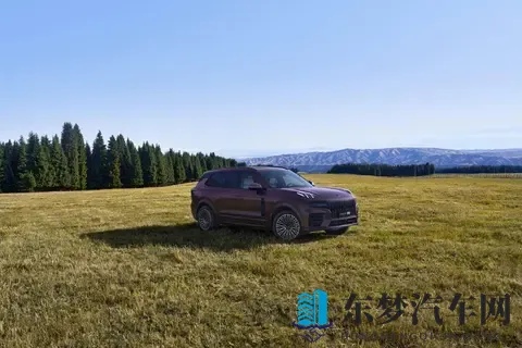 奴役 支配 性狂虐tube的特点：揭示性虐待视频平台独特特征-2