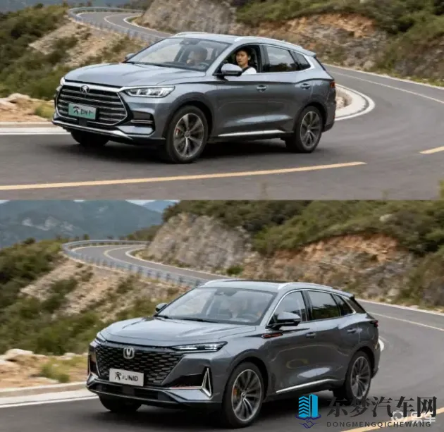 一个吃奶一个添下边：品牌策略大对决：创新研发VS极致服务，哪家更胜一筹？-1