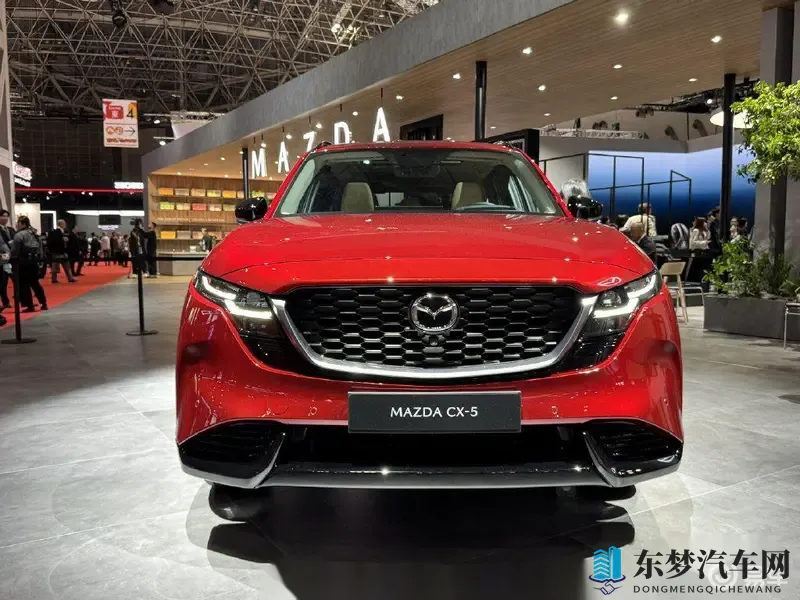 黄色软件大全下载3.0.3每天oppo版免费大全：汽车保养秘诀,让爱车更耐用-1