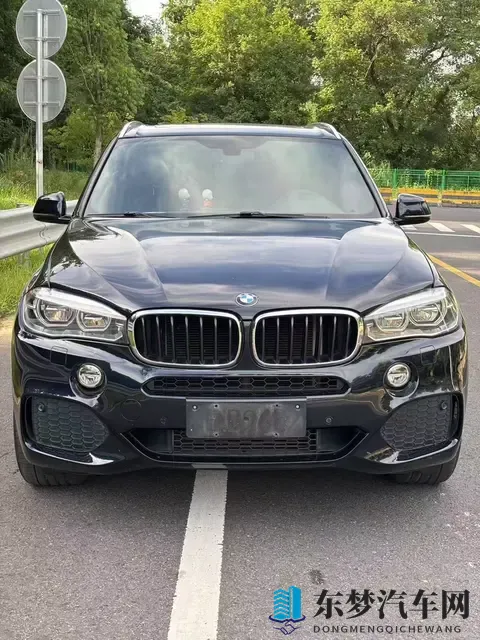 2018款宝马X5：30T+8AT，9万公里，豪华依旧，奶爸之选-2