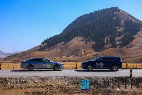 别克十年再出发,老车新路遇挑战-2